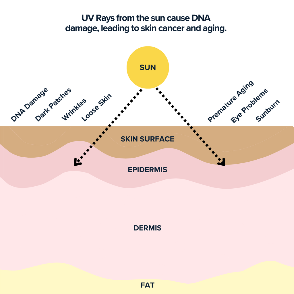 Tissue Sun Sun 101 | EEZYSUN